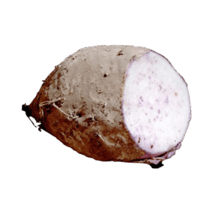 Ajipa
