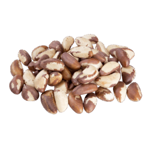 Castaña o Almendra amazónica