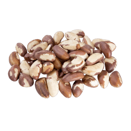 Castaña o Almendra amazónica – Alimentos Bolivia