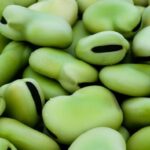 Amaranto, Quinua y Cañahua: Super Pseudo-cereales Andinos que Desafían el Tiempo y el Clima