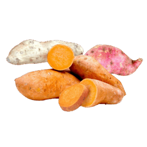 Camote