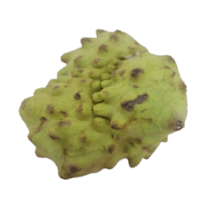 Chirimoya