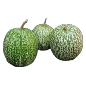 Lacayote