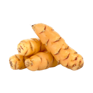 Oca