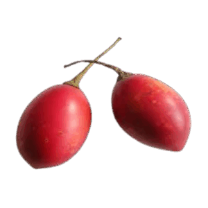 Tomate de árbol