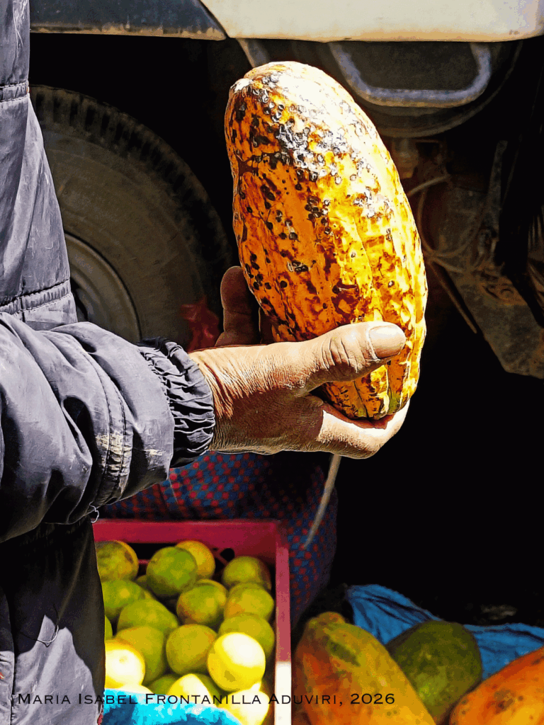 Cacao