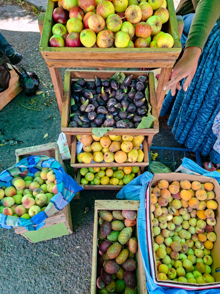 Alimentos en Ecotambo - Ph. Lizbeth Flores