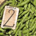 Causa y efecto: mi experiencia en busca de un “superalimento” en Ecotambo