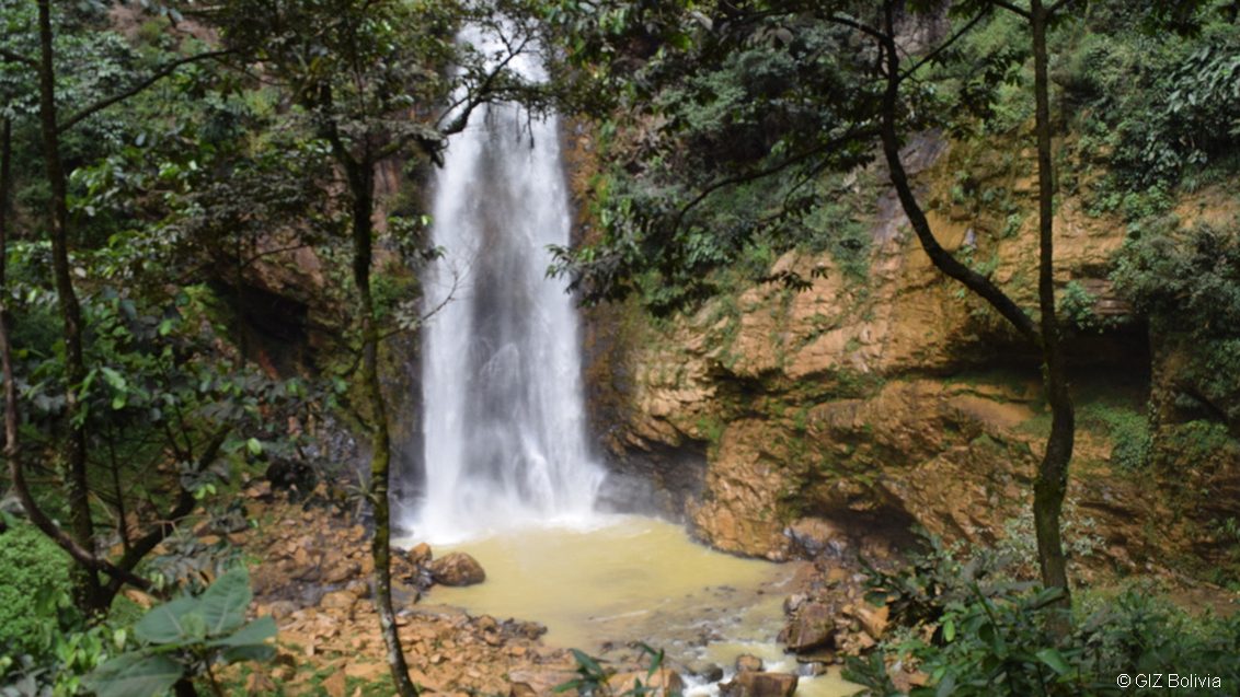 Cascada en medio del bosque amazónico