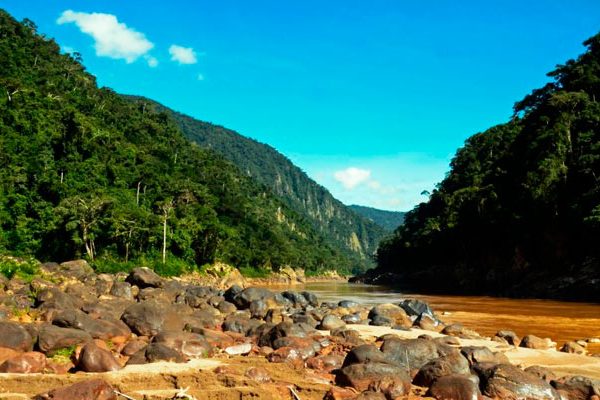 Río de piedras entre cerros con bosque en la Reserva Pilón Lajas