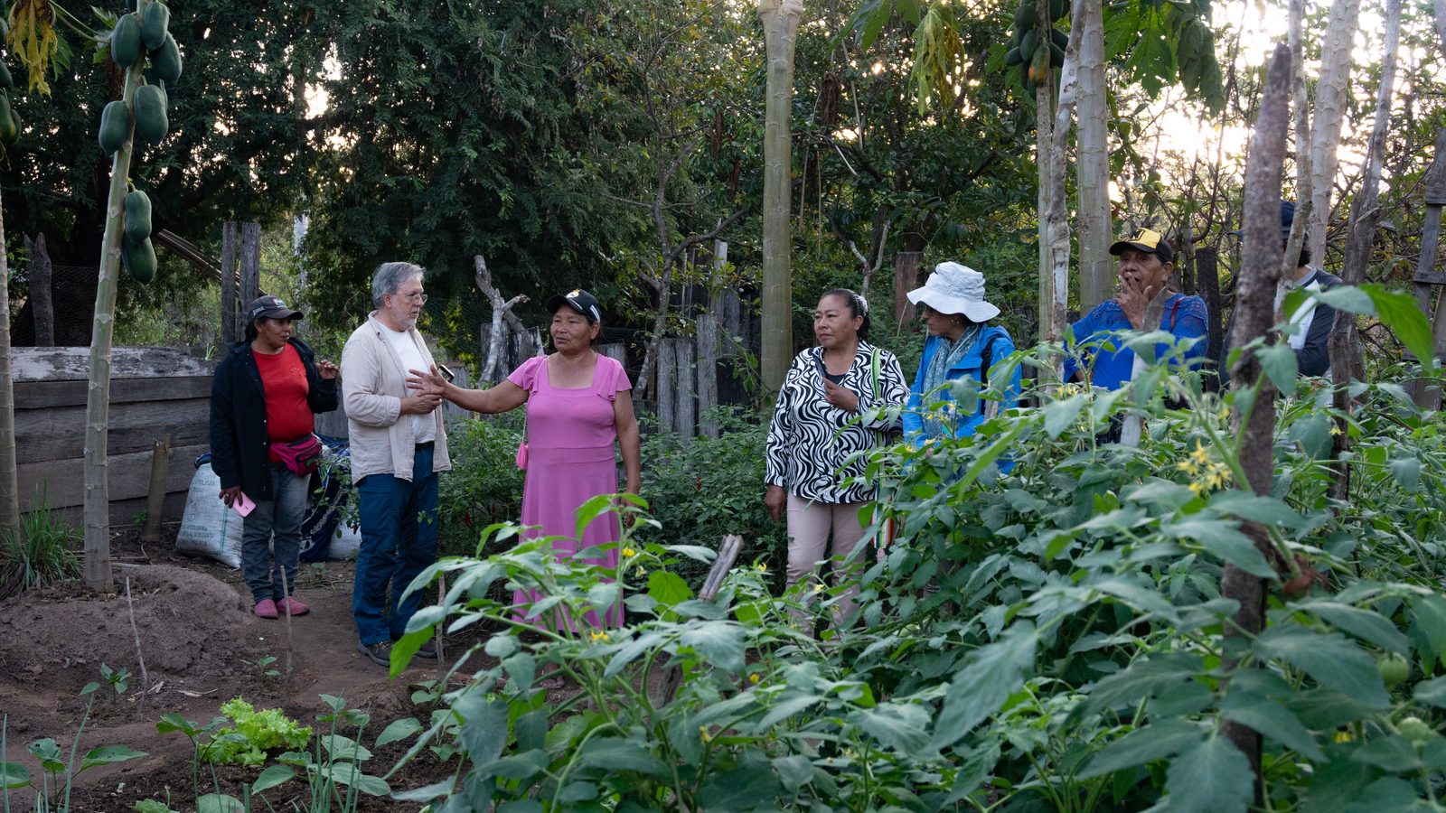 Personas recorriendo una huerta en la Chiquitanía