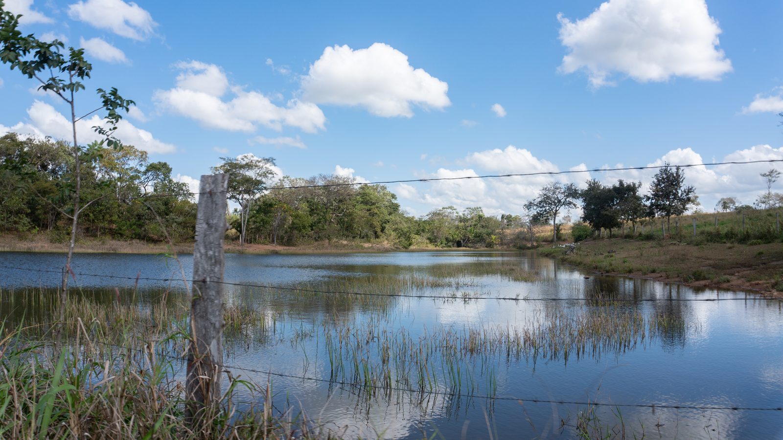 Laguna bajo un cielo azul con nubes en la Chiquitanía