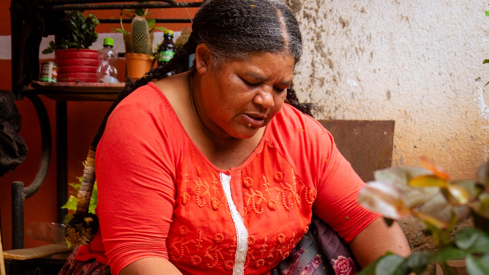 Mujer trabajando con un marco de colmena