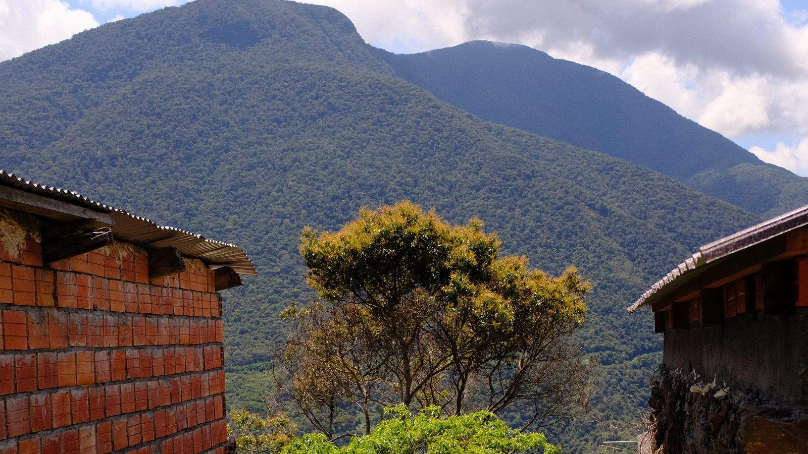 Montañas y vegetación entre casas de los Yungas