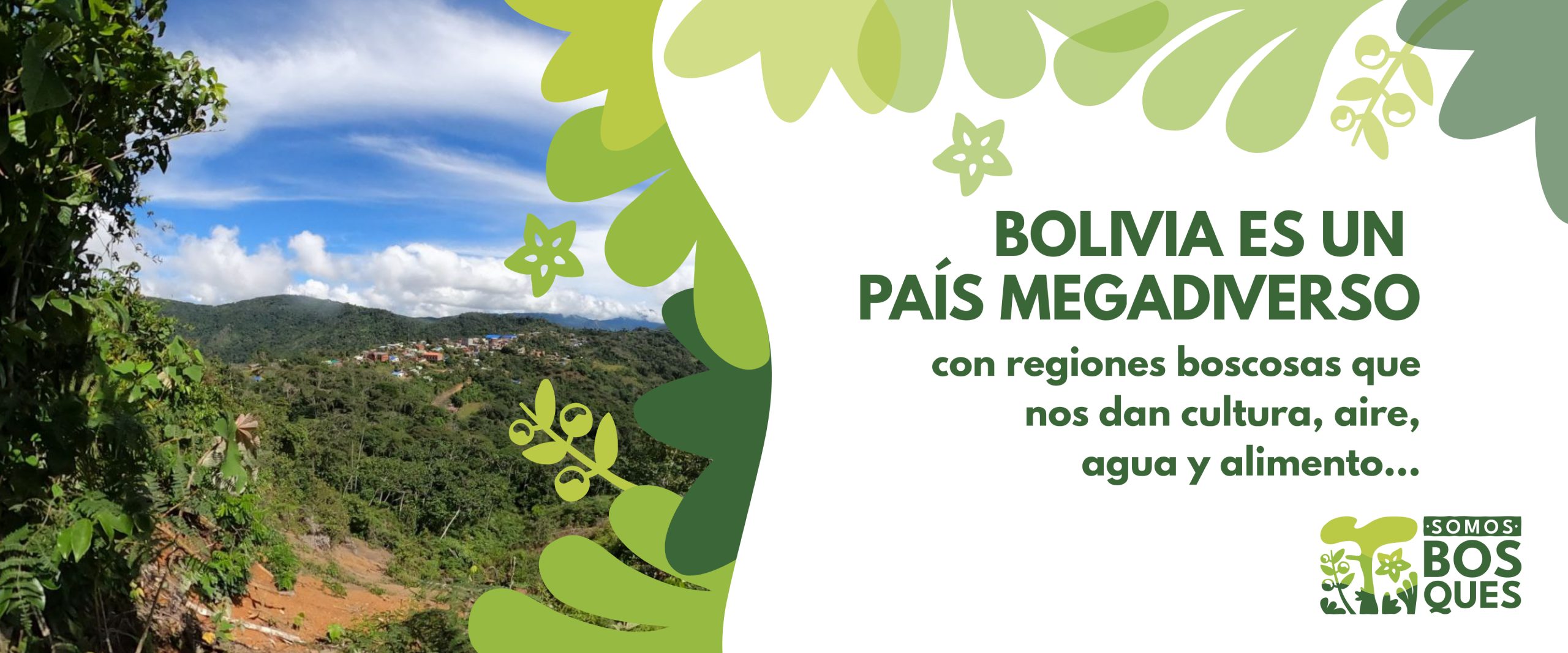 Bolivia es un país megadiverso, con regiones boscosas que nos dan cultura, aire, agua y alimento. Somos Bosques.